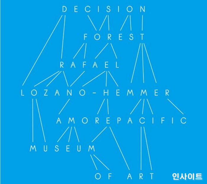 아모레퍼시픽 미술관, 첫 기획전으로 라파엘 로자노헤머 작가 ‘디시전 포레스트’ 진행