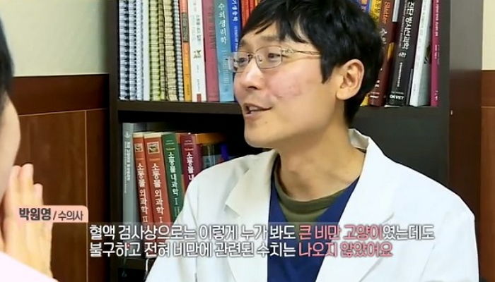 새벽 4시부터 밥 달라며 잠든 집사 머리 ‘콩콩’ 두드리는 세젤귀 뚱냥이