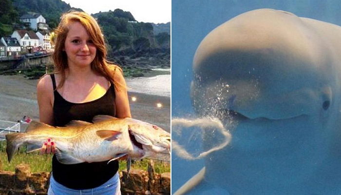 바다 놀러 온 14살 소녀에게 ‘4.5kg’ 대형 물고기 선물한 돌고래