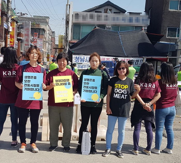 “철거된 모란시장 도축장에는 개들만 덩그러니 남았다”