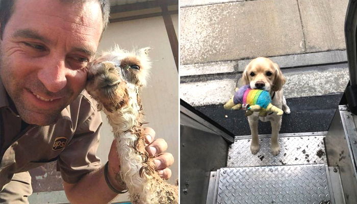 “택배 왔다!”…‘최애’ 택배 아저씨 오면 버선발로 마중 나가는 댕댕이들