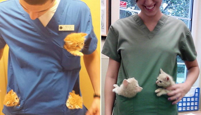 ‘수의사’를 직업으로 선택한 사람들이 꼽은 최고로 ‘행복’한 순간