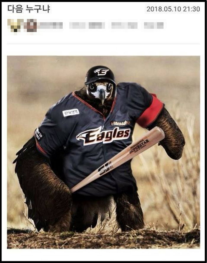인사이트