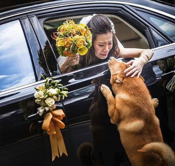 “가지 말아요” 신혼여행 가는 엄마에게 매달려 애원한 댕댕이