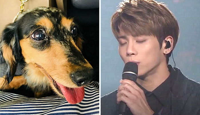 ‘실종’ 4일 만에 가족들 품에 돌아온 故 종현 반려견 ‘루’