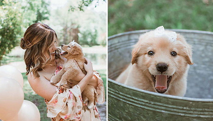 ‘유기견’ 입양한 기념으로 ‘생일 사진’ 찍어준 엄마·아빠