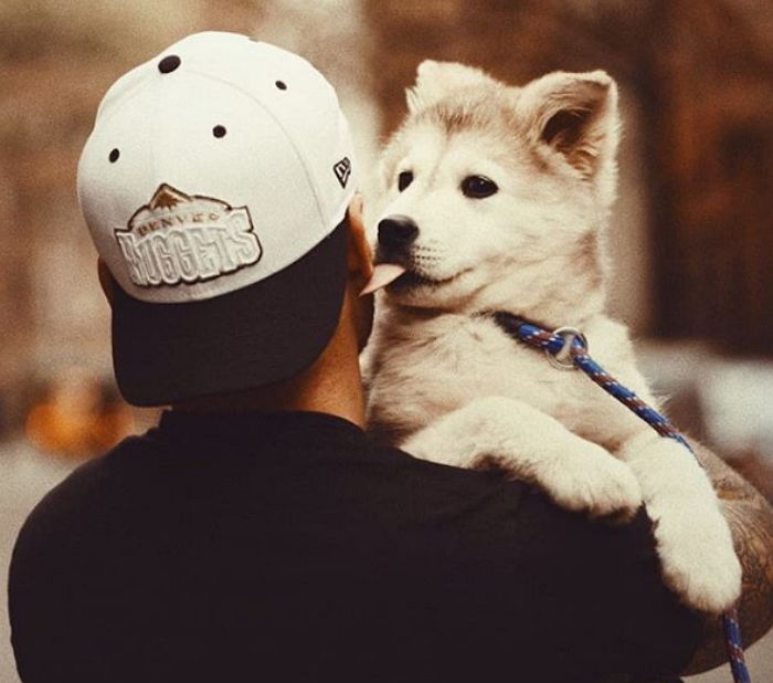 미국 선수가 한국 ‘개고기 농장’서 입양해간 강아지, 무지개다리 건넜다