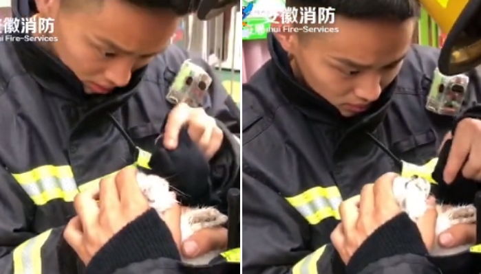 불 난 펫샵에서 기절한 강아지 ‘손가락 심장마사지’로 살려낸 소방관