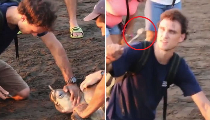 머리에 ‘플라스틱 숟가락’ 박혀 고통스러워하는 거북이 구조해준 남성