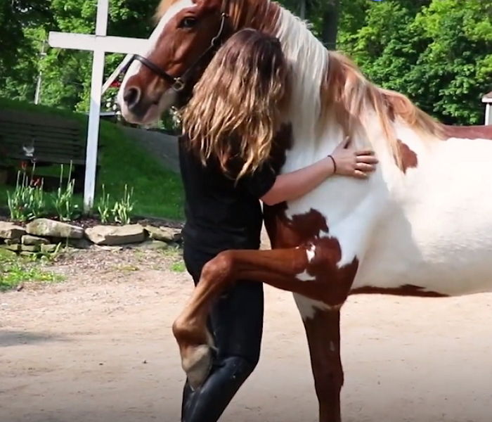 도살 직전 구조해준 여성을 한 발로 살포시 감싸 안은 야생마