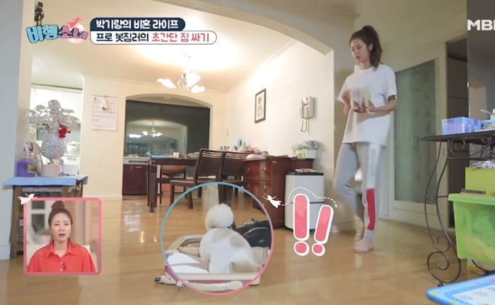 “옛따~ 손!!”하고 손 내밀던 ‘세젤귀’ 댕댕이가 박기량 캐리어에 들어간 이유