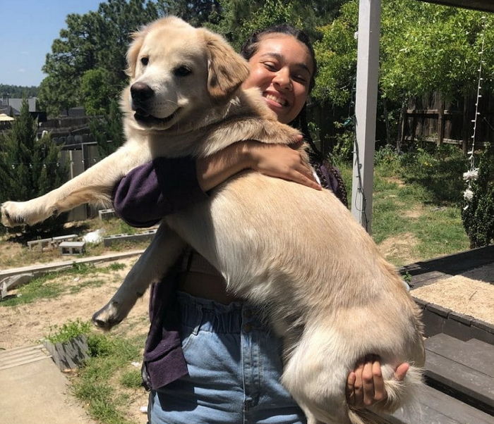 너무 외로워 ‘벽돌’을 친구라고 생각하고 꼭 붙어 있는 강아지