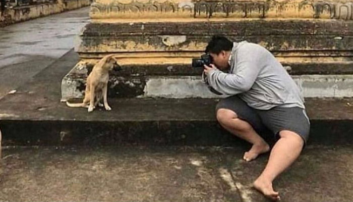 생애 처음 ‘독사진’ 찍어준 남성에게 쪼르르 달려가 카메라 확인한 강아지