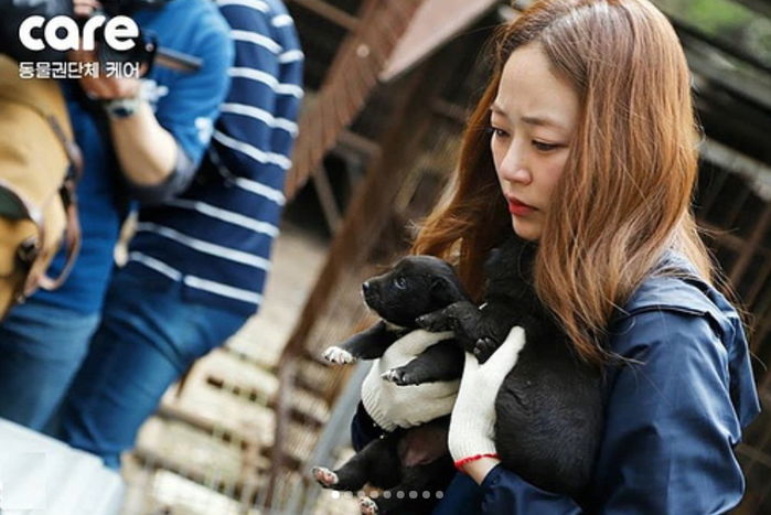 “살길 바랐지만, 결국 죽었다” 교통사고 당한 아기 고양이 구조한 여배우가 남긴 글