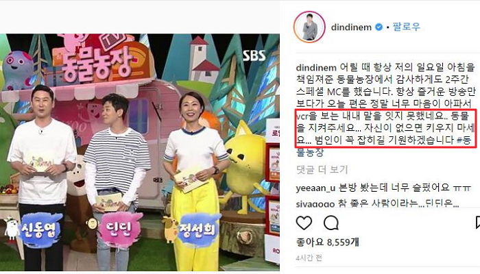 딘딘 “동물 지켜달라…자신 없으면 키우지 말길!” 호소