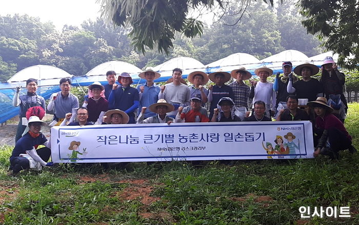 NH농협은행, 6년째 가시리마을서 ‘농촌 일손돕기’ 봉사활동 실시