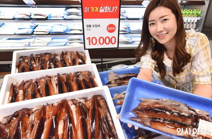 홈플러스, 국내산 햇오징어 5마리 ‘1만원’에 판매