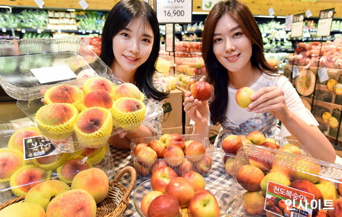 홈플러스 “여름 대표과일 상큼한 ‘복숭아’ 사가세요”