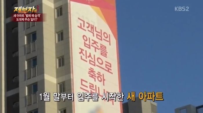 ‘혹파리’ 들끓어 밥도 불끄고 먹는 ‘신축 아파트’ 입주민들