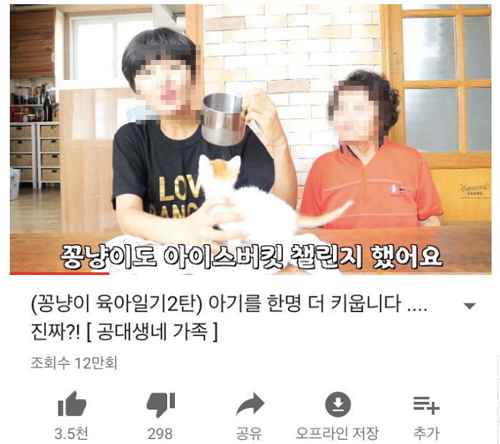 생후 2개월 된 아기고양이 ‘아이스버킷’ 챌린지 시킨 유튜버