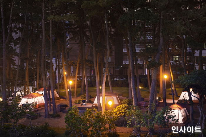 메종글래드 제주, 리얼 캠핑을 경험할 수 있는 ‘제주의 캠핑&BBQ’ 프로모션 실시