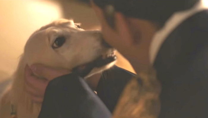 ‘비운의 죽음’ 맞은 사도세자가 그린 ‘강아지 그림’이 서글프게 느껴지는 이유