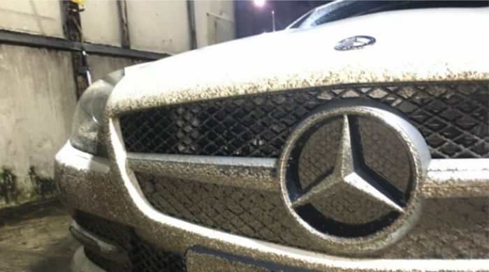 해안도로 15분 질주한 차량에 들러붙은 수만 마리 ‘날벌레’ 사체