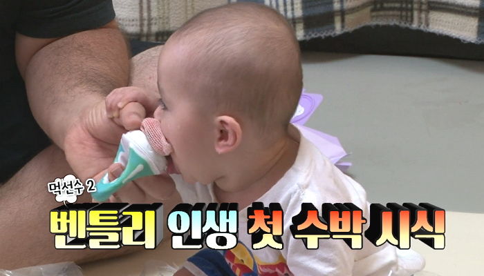 인생 처음 ‘수박’ 맛보고 홀딱 반해 ‘통째로’ 들어 원샷하는 ‘귀염뽀짝’ 벤틀리