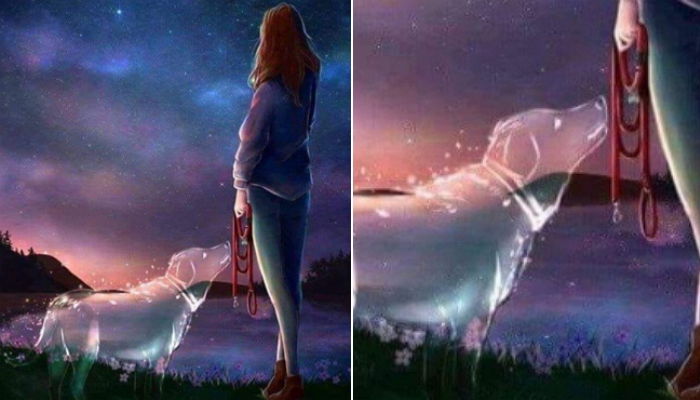 “강아지 키우면서 가장 힘든 게 뭐야?”라는 질문에 반려견 주인이 한 대답