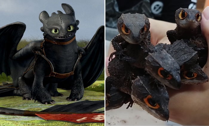 ‘드래곤 길들이기’ 투슬리스 실제 모델이라는 ‘도마뱀’의 귀염 비주얼