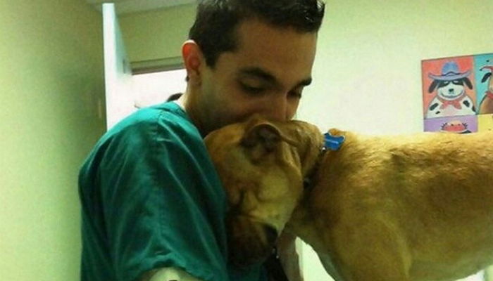 밤새워 치료해준 수의사 꼭 끌어안으며 고마움 전한 강아지