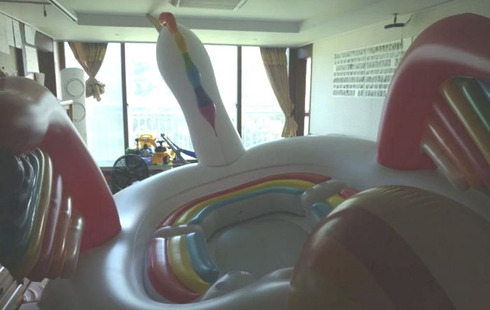 “해외 직구한 유니콘 튜브를 펼쳤는데, 갑자기 집안이 어두워졌어요”