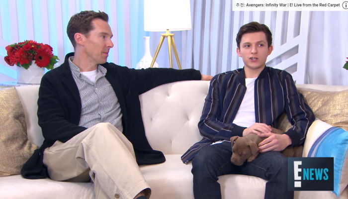 ‘톰 홀랜드’ 무릎 차지하고 인터뷰 내내 시선 강탈한 ‘신스틸러’ 댕댕이