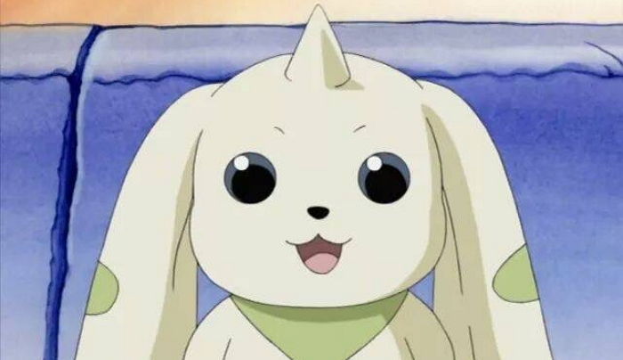 디지몬 덕후들 설레게 한 ‘테리어몬’ 귀염뽀짝 실물 인형으로 출시된다