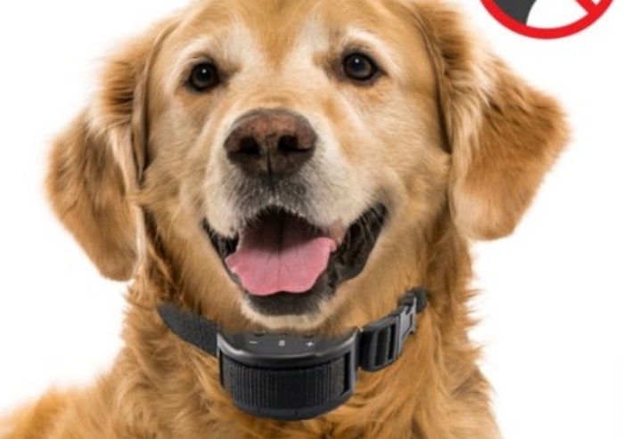 ‘전기 충격’으로 강아지 버릇 고쳐준다는 ‘짖음 방지기’의 소름 돋는 구매 후기