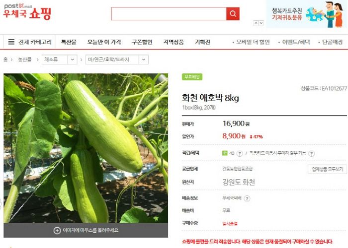 “폭염에 애호박 폐기해야 해 눈물 흘리는 농가 ‘구매’로 도와주세요”