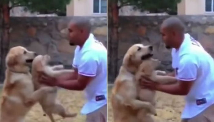 주인이 새끼 뺏어가는 줄 알고 필사적으로 막은 ‘엄마’ 강아지