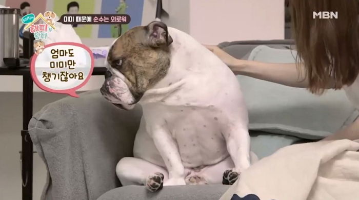 미미만 안고 다니는 후야에게 완전히 삐쳐 ‘개서운’해진 순수