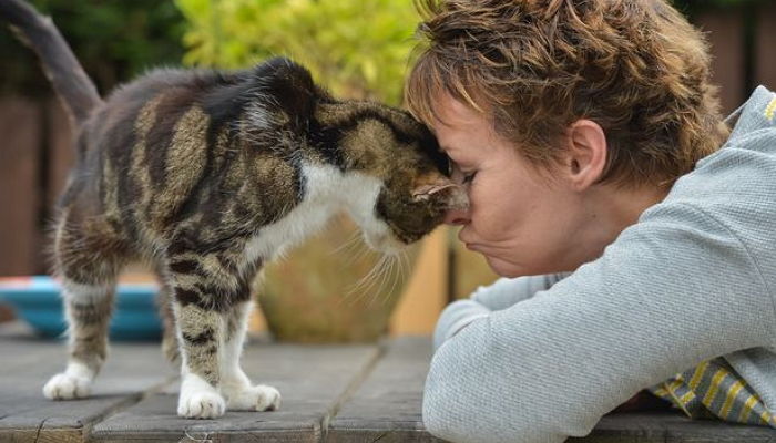 ‘13년’ 만에 다시 만난 주인 알아보고 얼굴 ‘부비부비’한 고양이