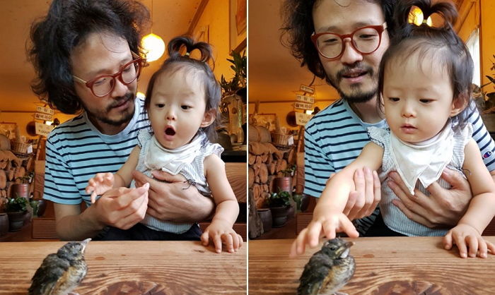 같이 놀던 ‘아기 새’가 날아가자 슬퍼서 ‘잉잉’ 운 은이