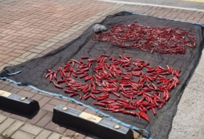 “주차 공간에서 ‘고추’ 말리는 사람들 때문에 미치겠습니다”
