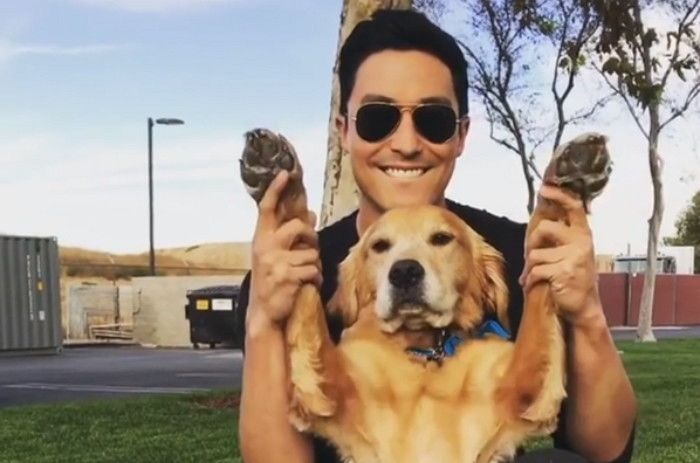 다니엘 헤니, ‘한국 개농장’서 구조한 반려견 ‘로스코’ 근황 공개