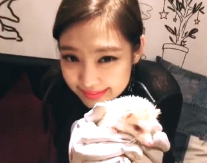 고슴도치 무서워 벌벌 떨면서도 억지 미소 지어 보인 ‘극한 직업’(?) 제니