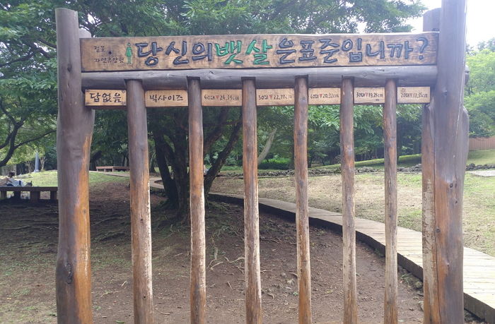 통과 실패한 사람들 사이에서 논란(?) 일어난 제주도 ‘뱃살 측정기’