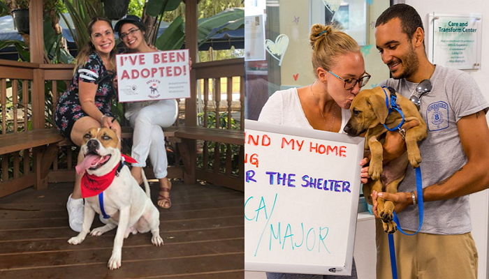 유기동물 ‘8만9천’마리 모두 입양 보내고 너무 기뻐 ‘인증샷’ 찍은 직원들