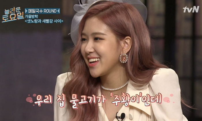 방송 중 뜬금없이(?) 반려동물 자랑하며 영상편지 남긴 블핑 로제