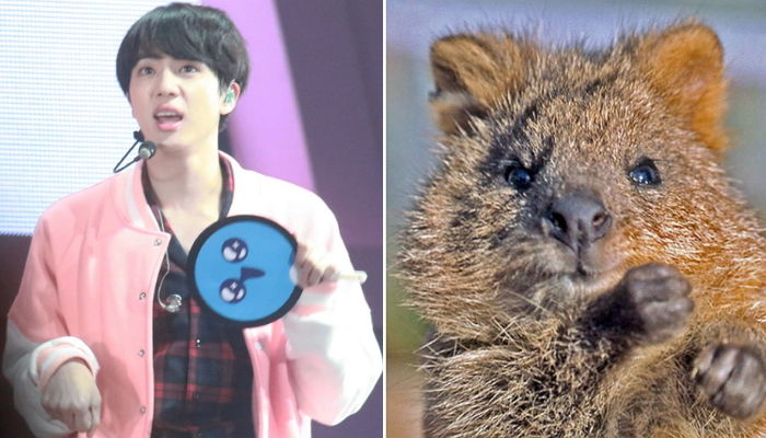 공격력 ‘1도’ 안 느껴지는 방탄 진의 앙증맞은 ‘솜방망이’ 주먹