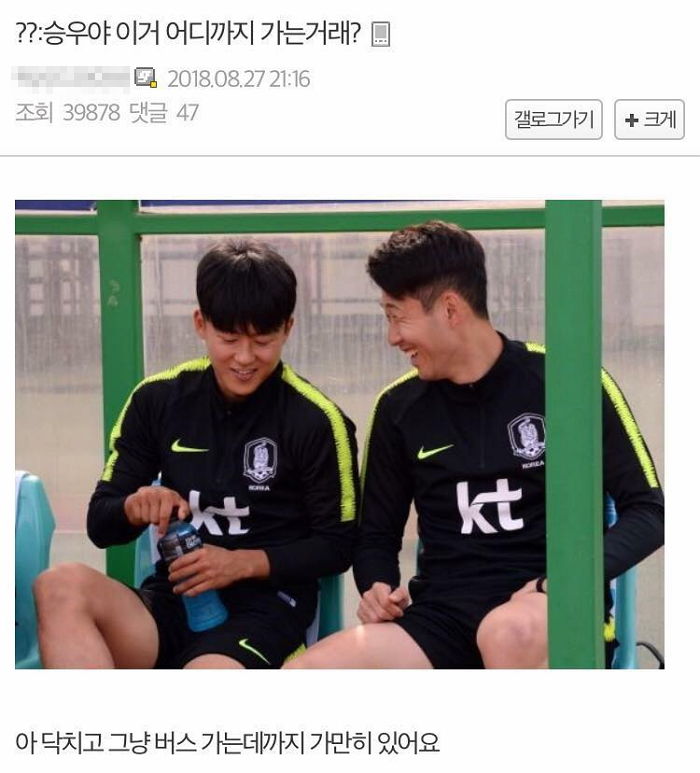 인사이트