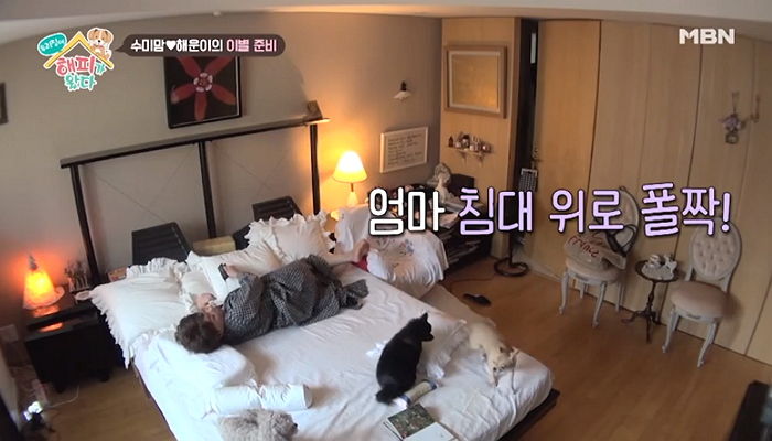 “또 어디를 가니”…‘임시보호견’ 해운이와 이별 앞두고 오열한 김수미