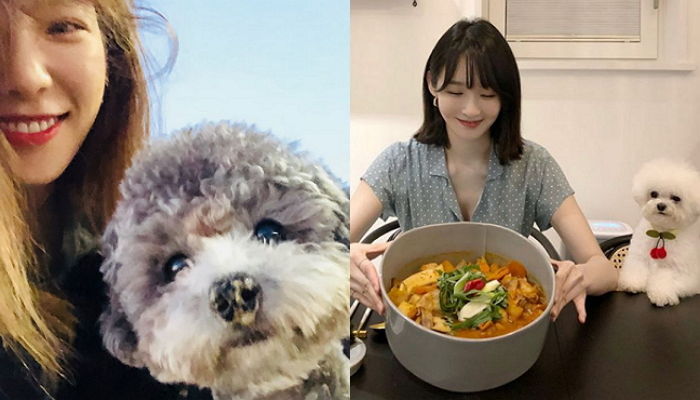 깜찍한 외모로 주인보다 더 ‘덕후몰이’ 중인 연예인 반려견 7